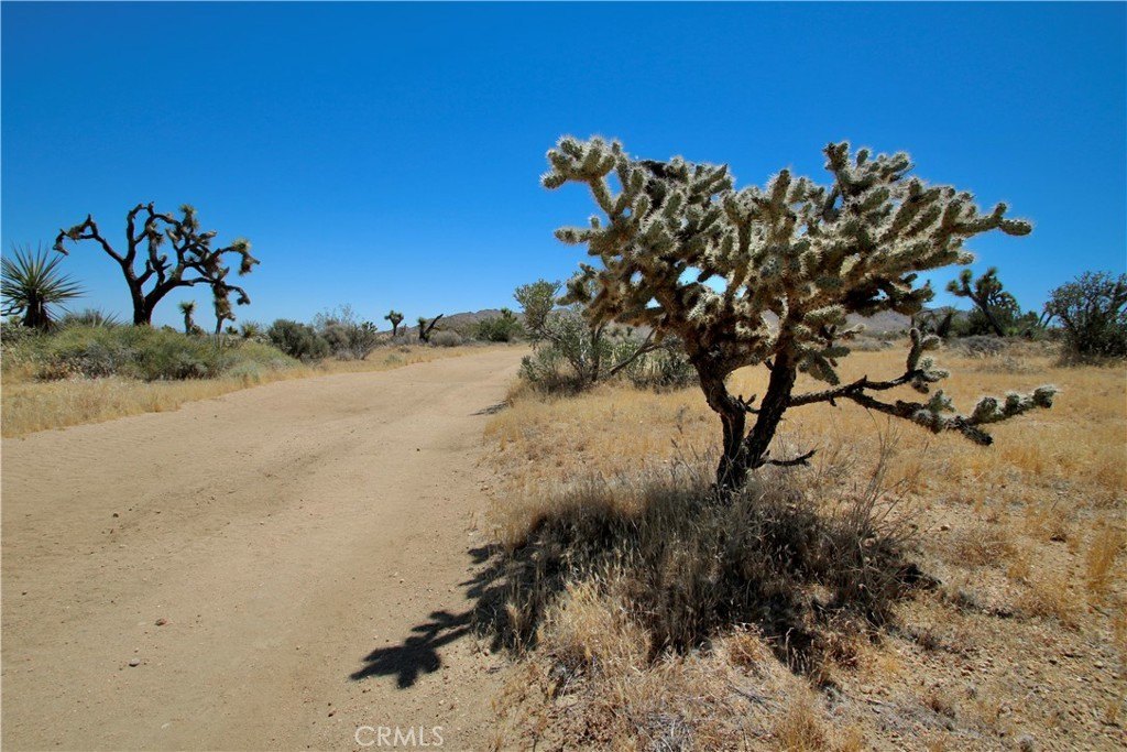 Picture 25