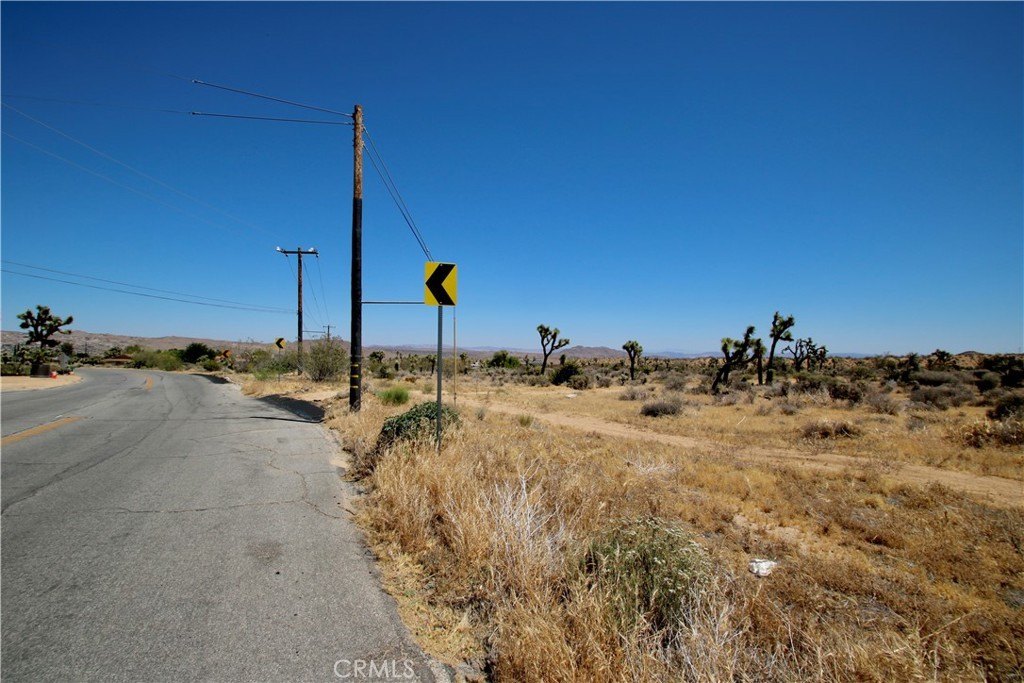Picture 23