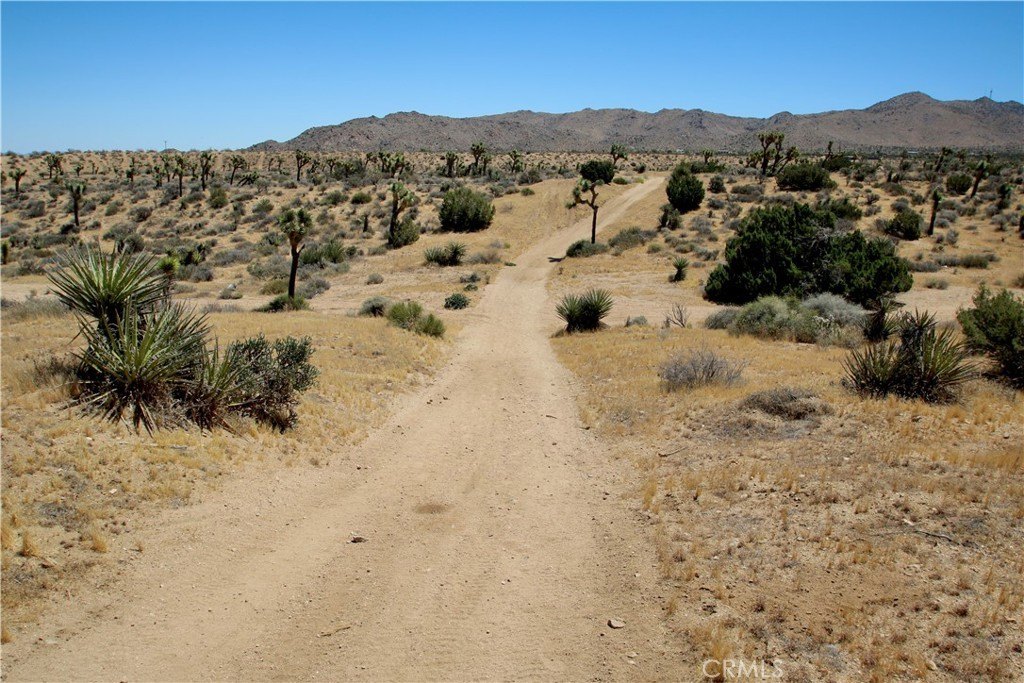 Picture 29