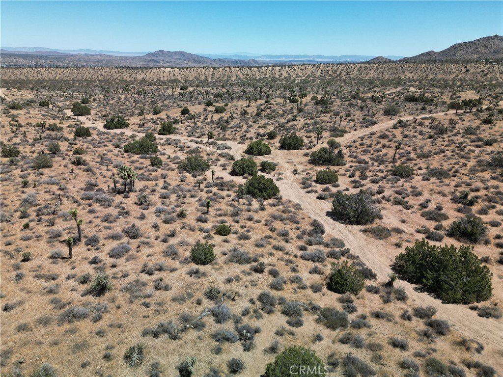 Picture 21