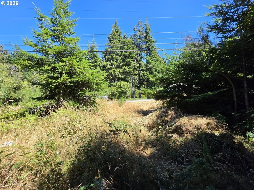 Picture 10