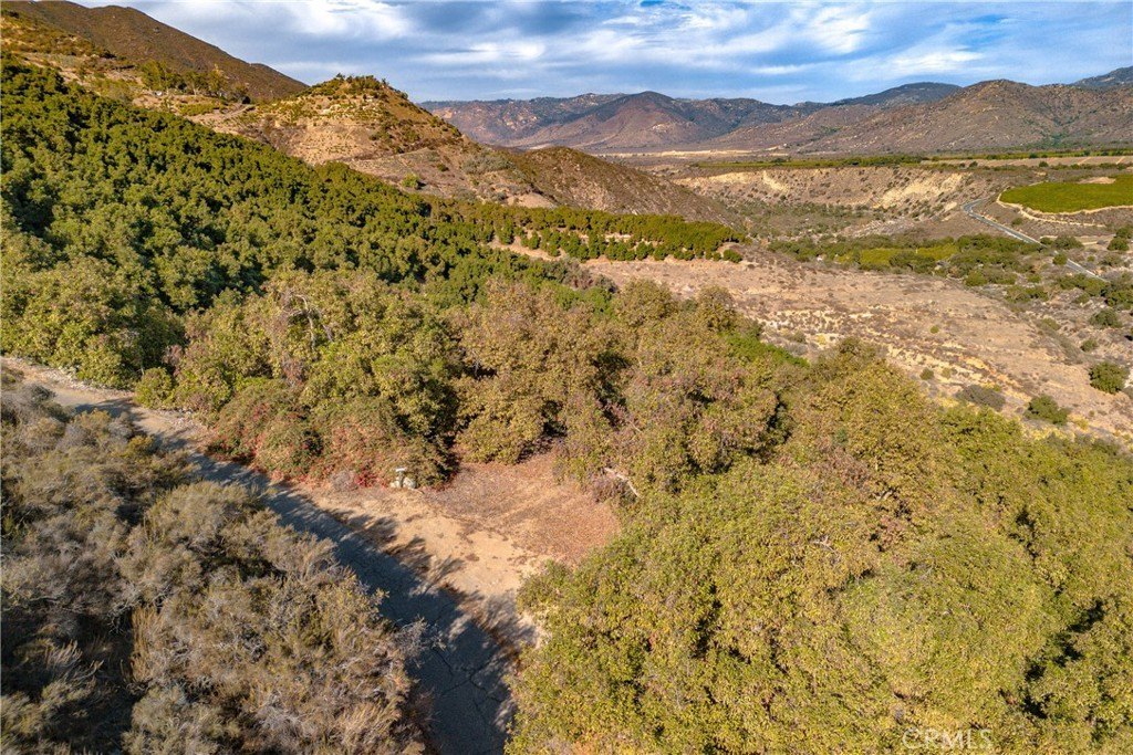 13.90 Acres with Avocado Grove