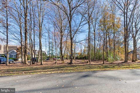 Partially Wooded Lot in Millsboro