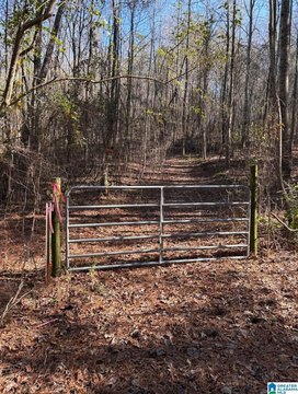 LAND/LOTS, ONEONTA, AL