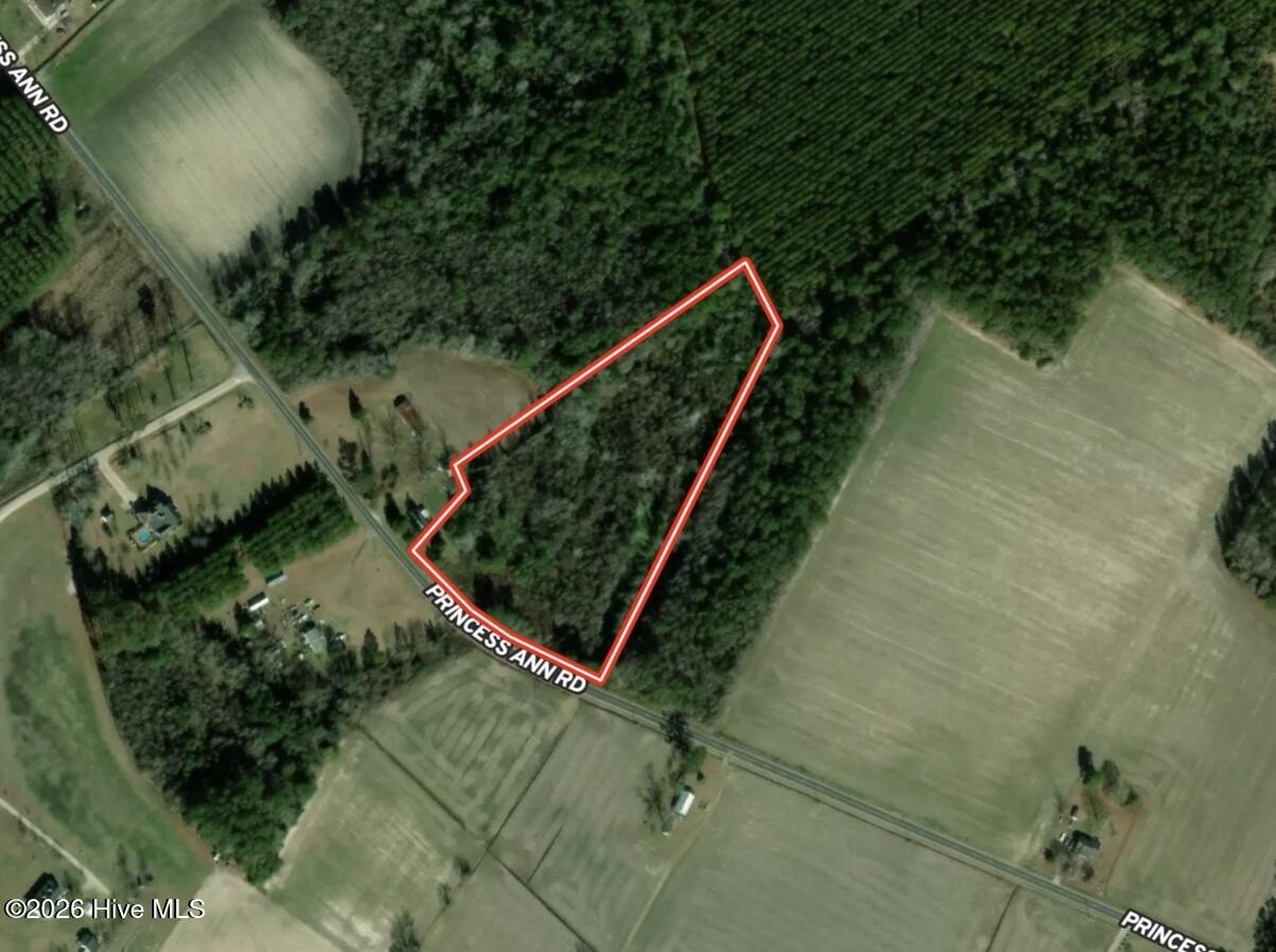 6.98 Acres Wooded Land