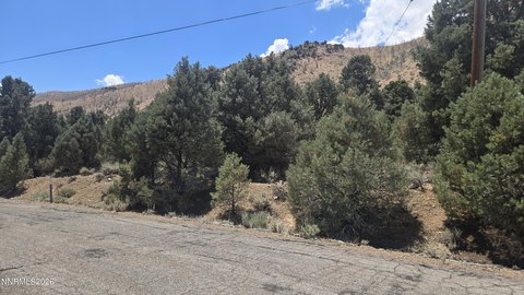 LAND - Gardnerville, NV