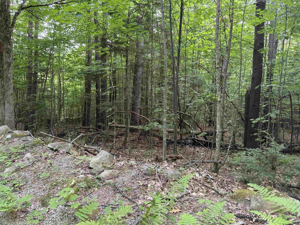 Picture 18
