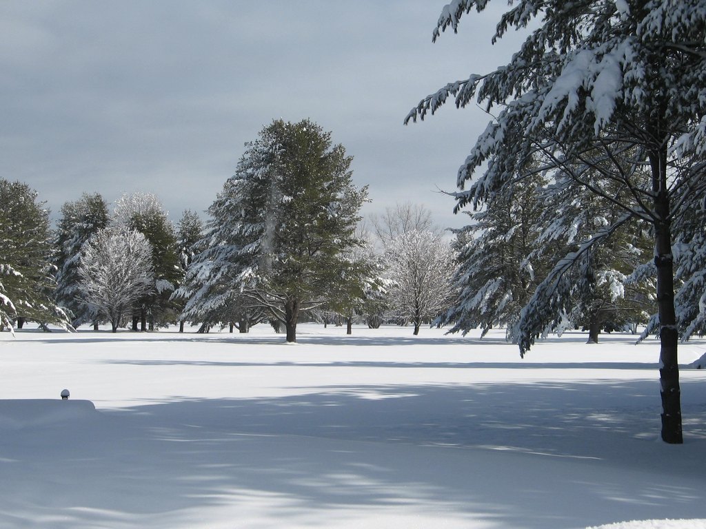 Picture 42