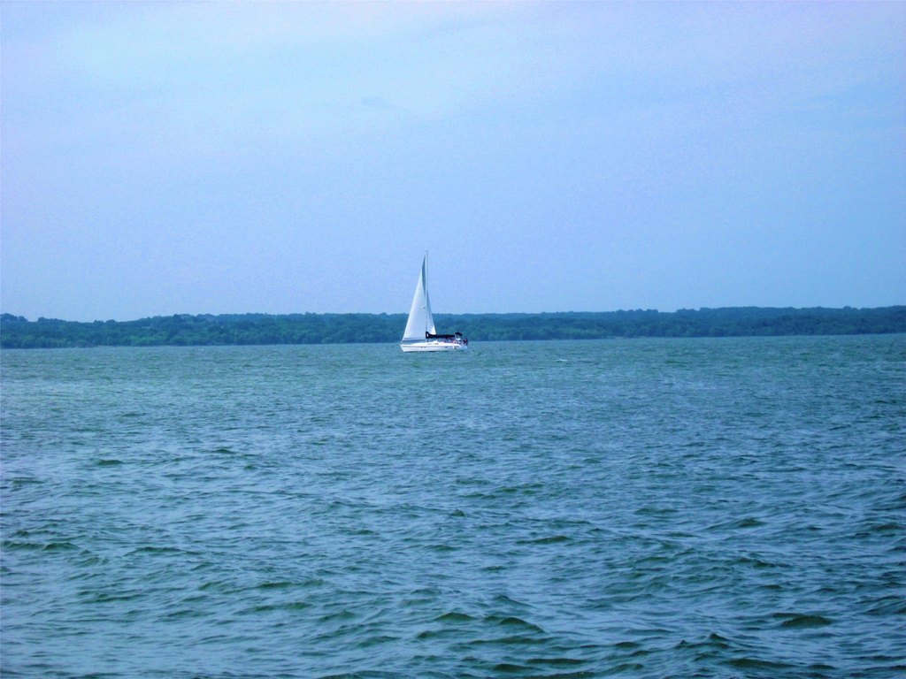 Picture 7