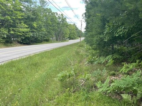 Wooded Land Parcel
