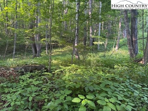 Creston Land Near Game Lands