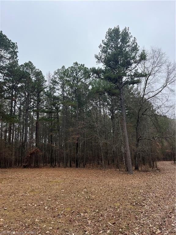 Unrestricted Acreage Near Highway 259