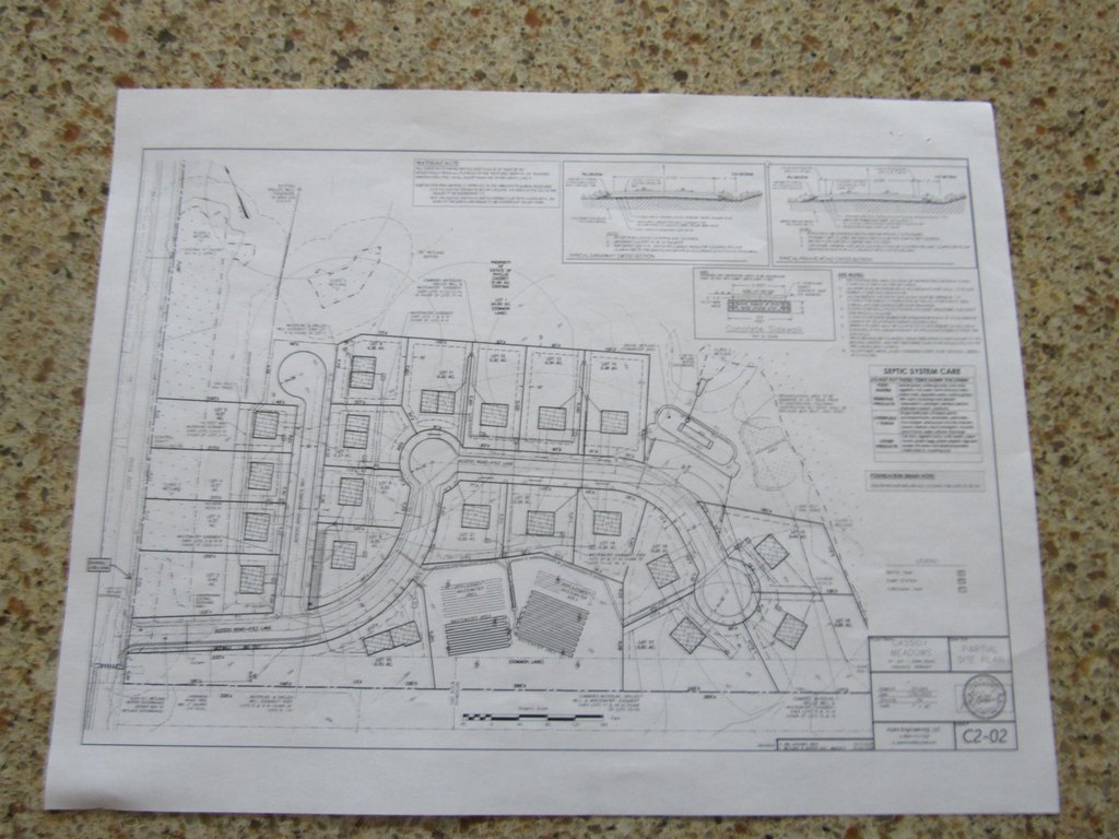 Picture 7