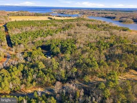 Waterfront Land in King George