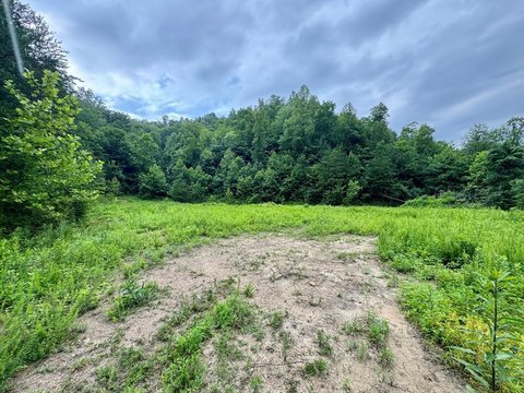 Recreation and Homesite Land