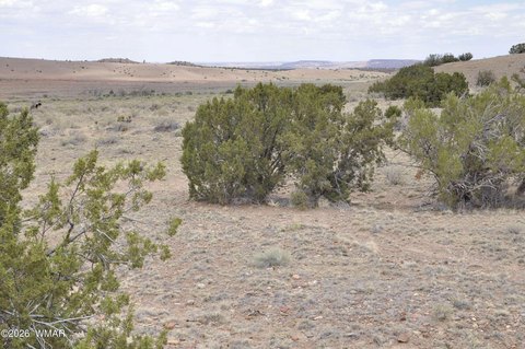 LAND - Concho, AZ