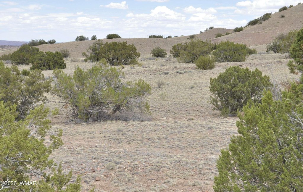 Picture 20