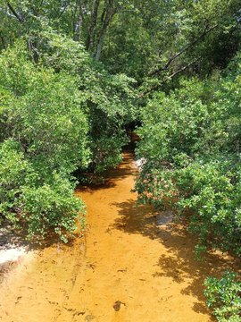 Waterfront Land in DeFuniak Springs