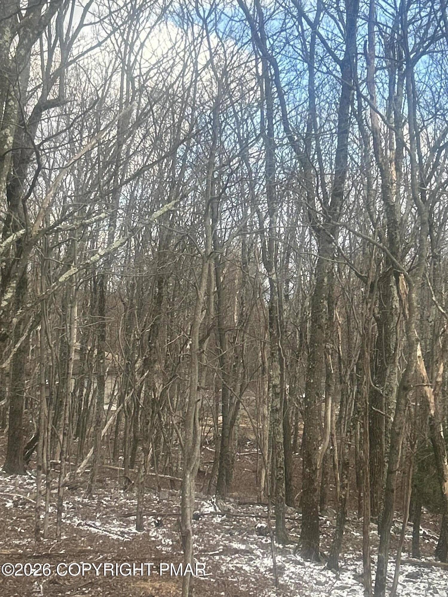 Residential Lot in Mount Pocahontas