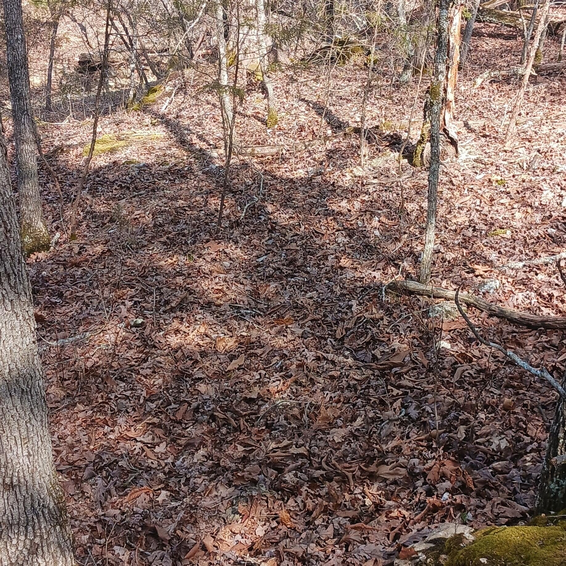 Residential Lot Near Bull Shoals