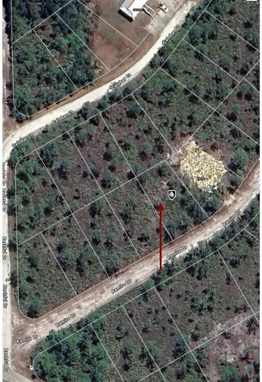 Picture 3