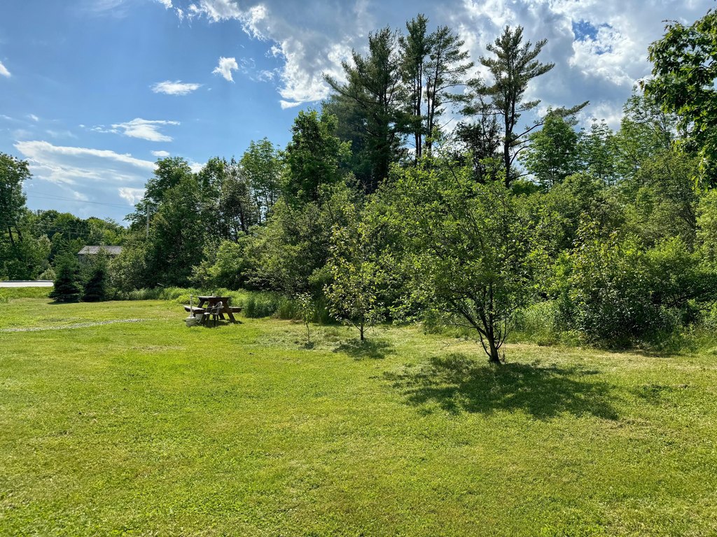 Picture 25