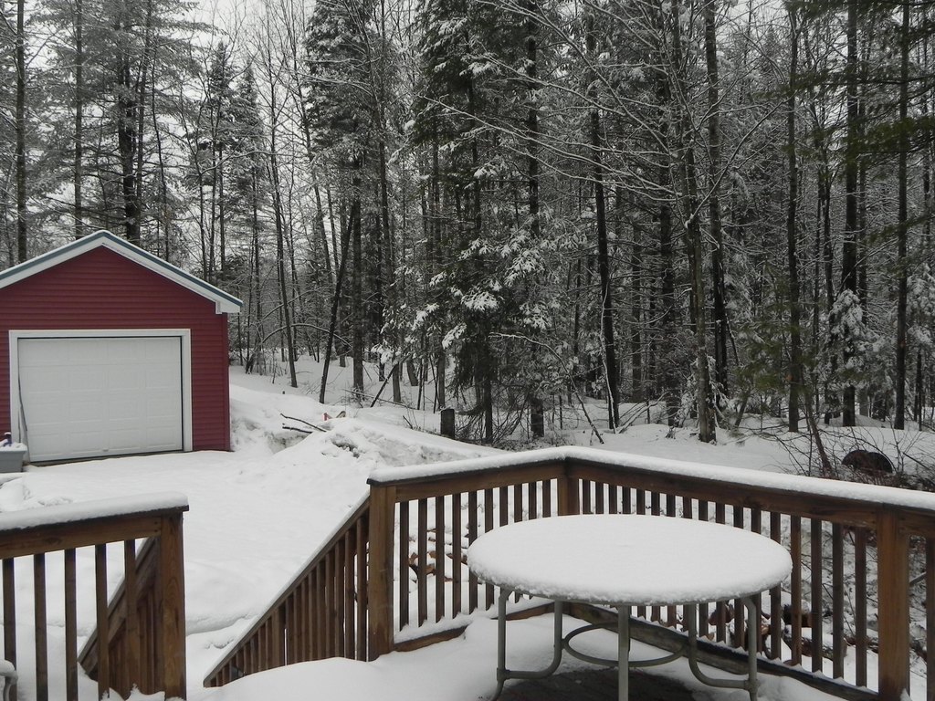 Picture 44