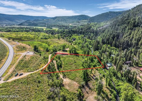 Wooded Mountain Land Parcel