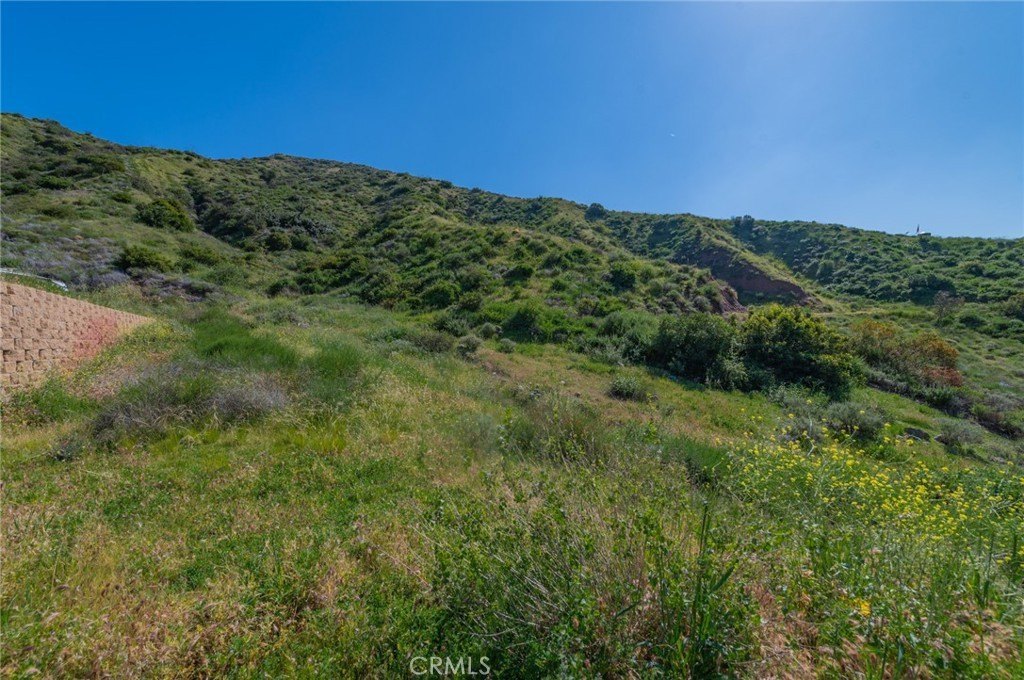 Picture 22
