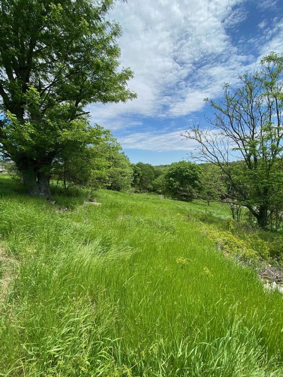 Picture 4