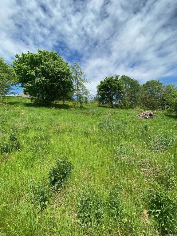 Picture 3
