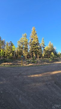 LAND - Buena Vista, CO