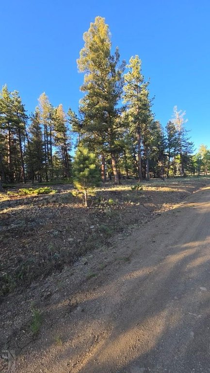 Picture 2