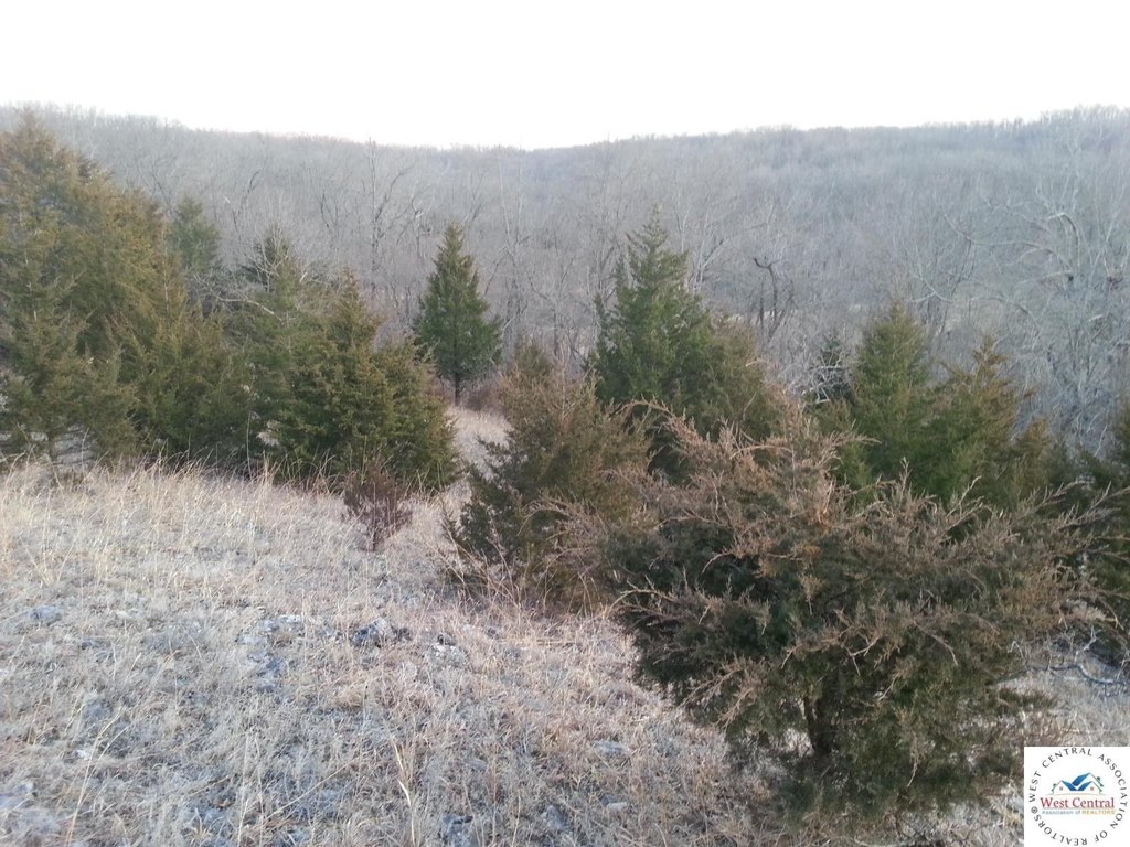 Picture 8