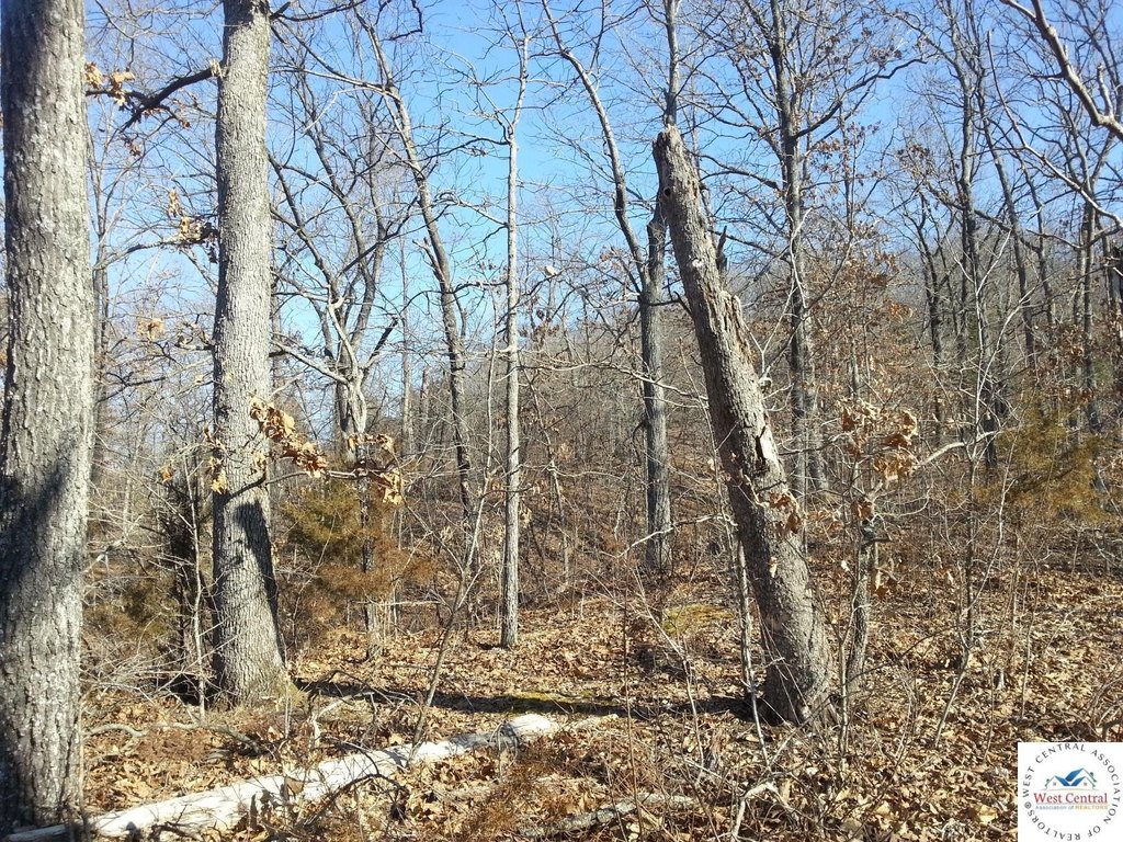 Picture 7
