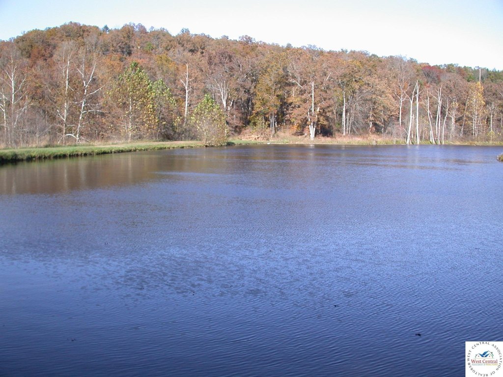 Picture 23
