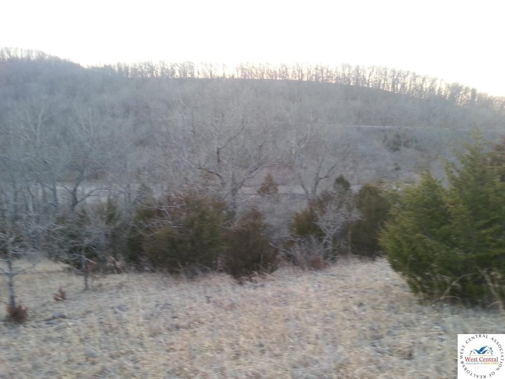 Picture 9