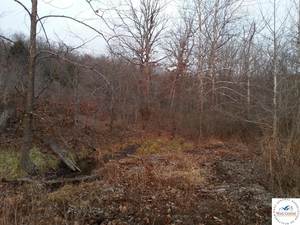 Picture 18