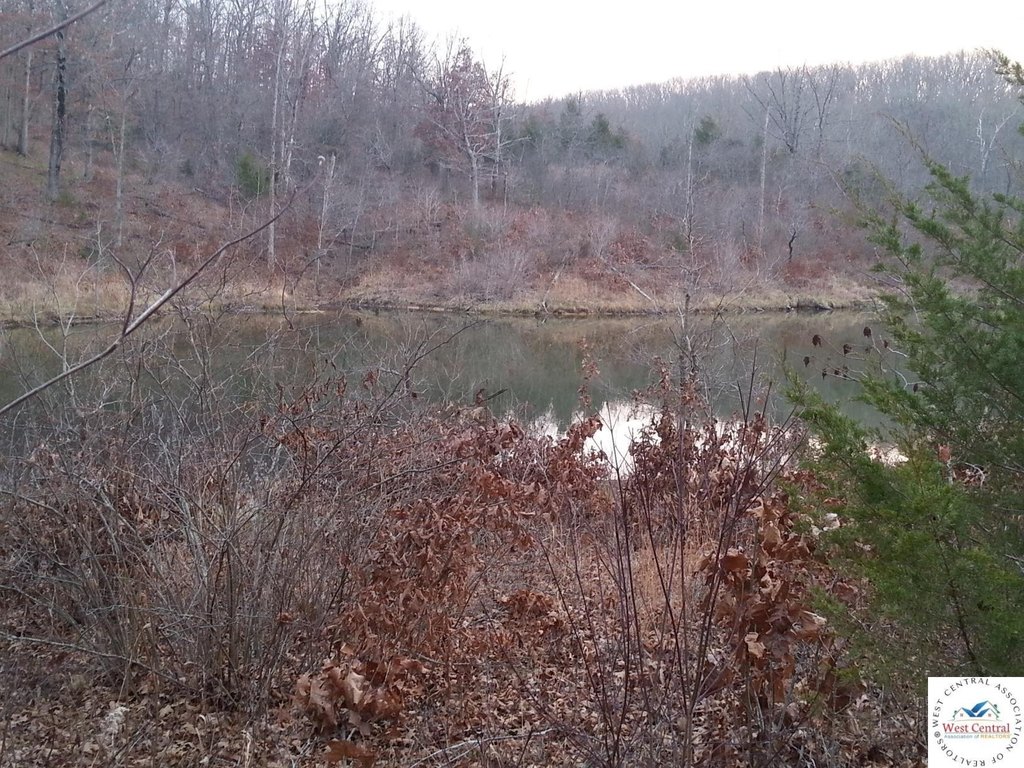 Picture 14