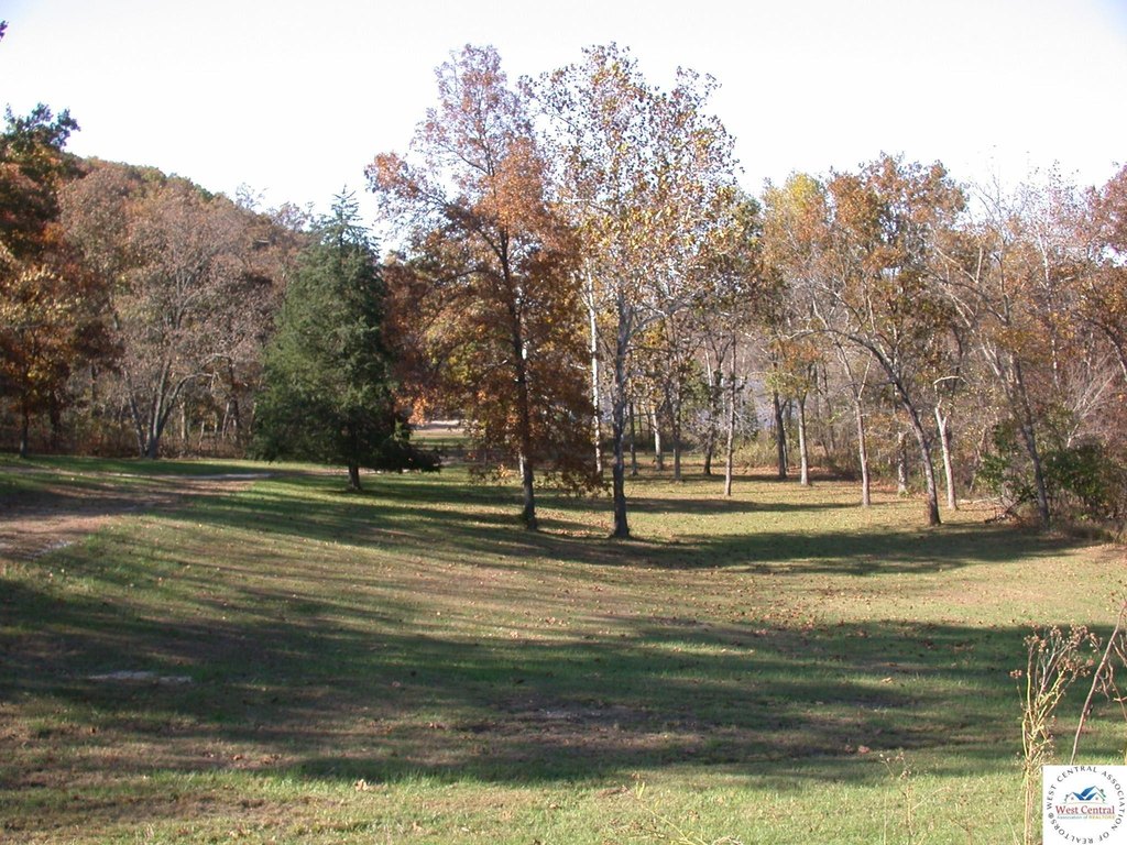 Picture 31