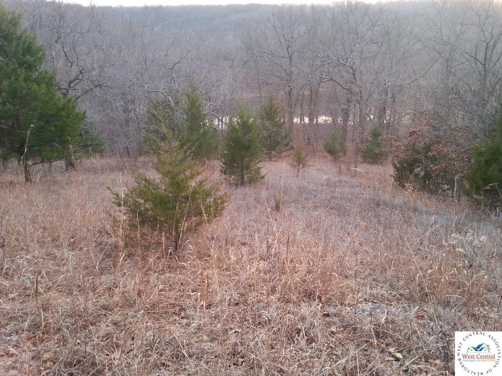 Picture 11