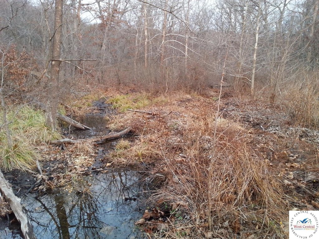 Picture 17