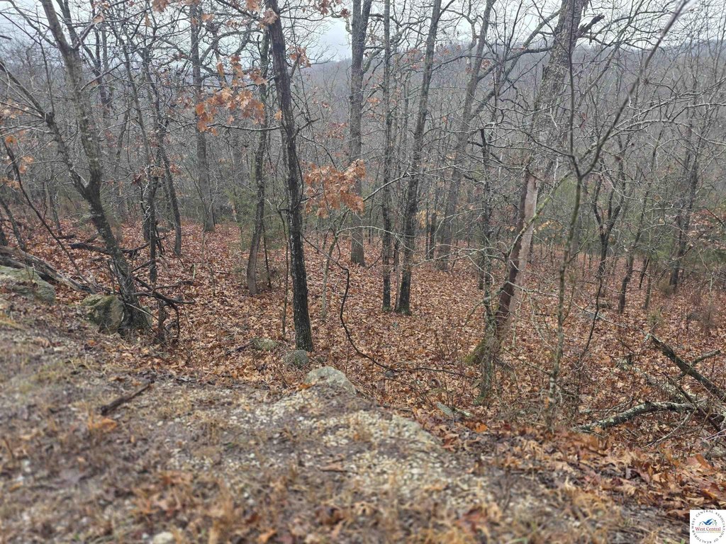 Picture 3