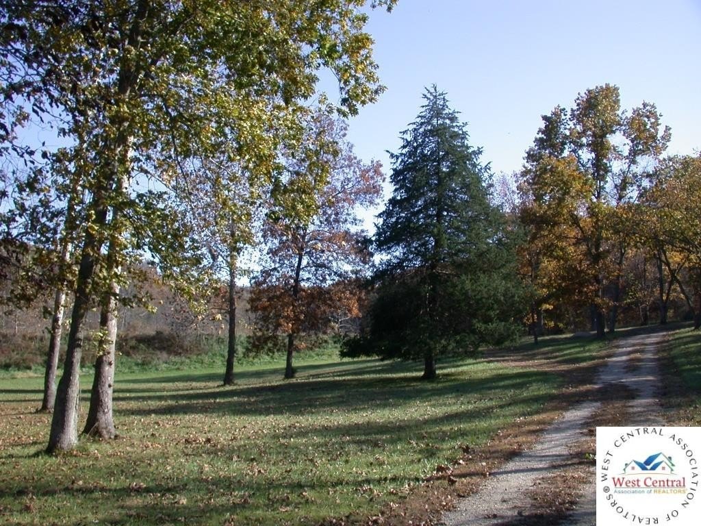 Picture 33