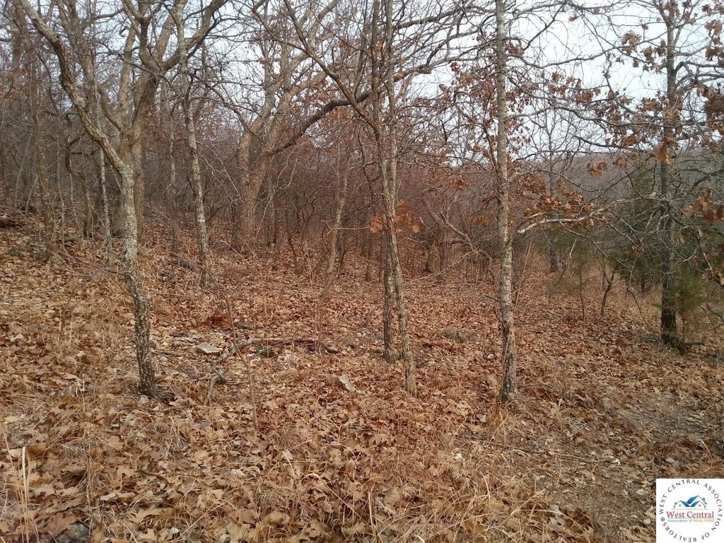 Picture 12