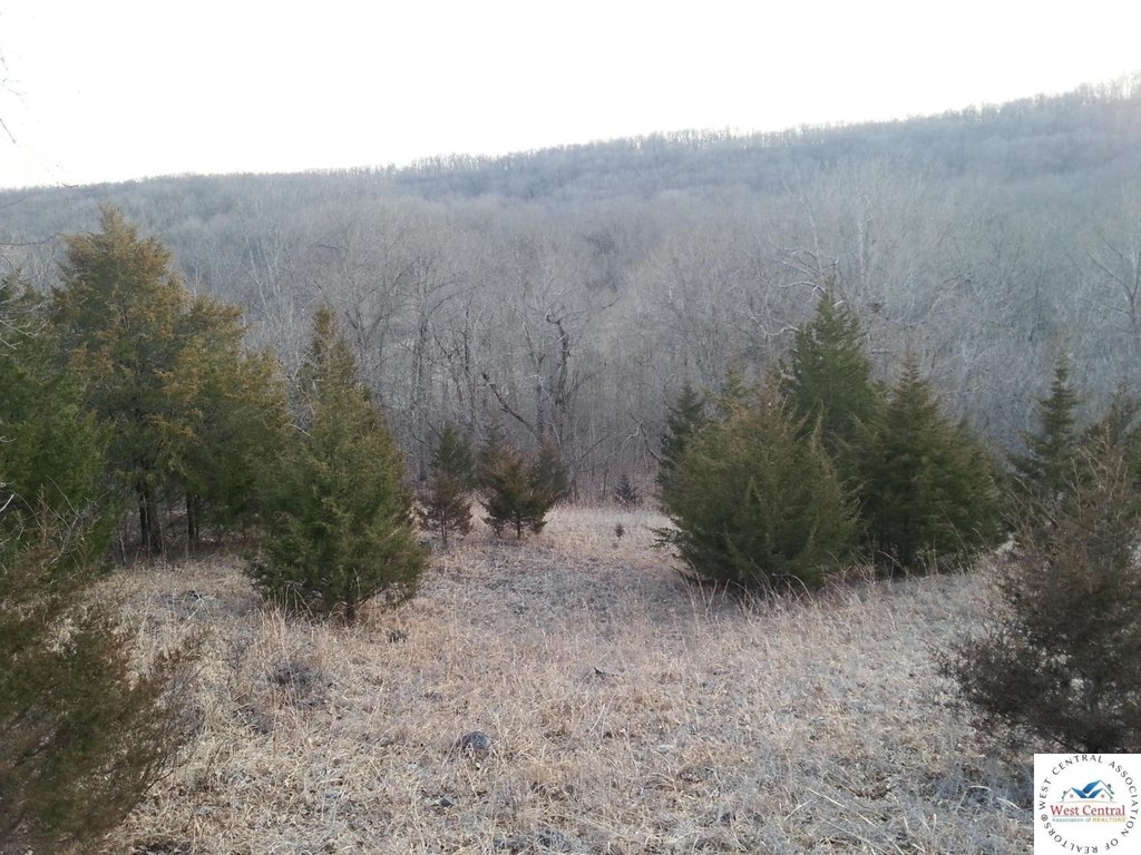 Picture 4