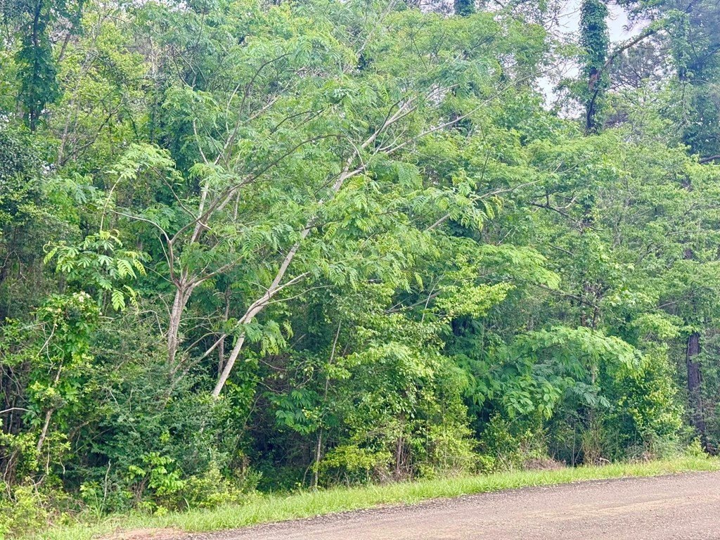 Picture 8