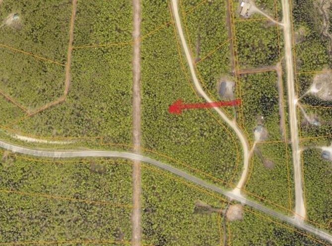 Fairbanks Land Near Moose Mountain