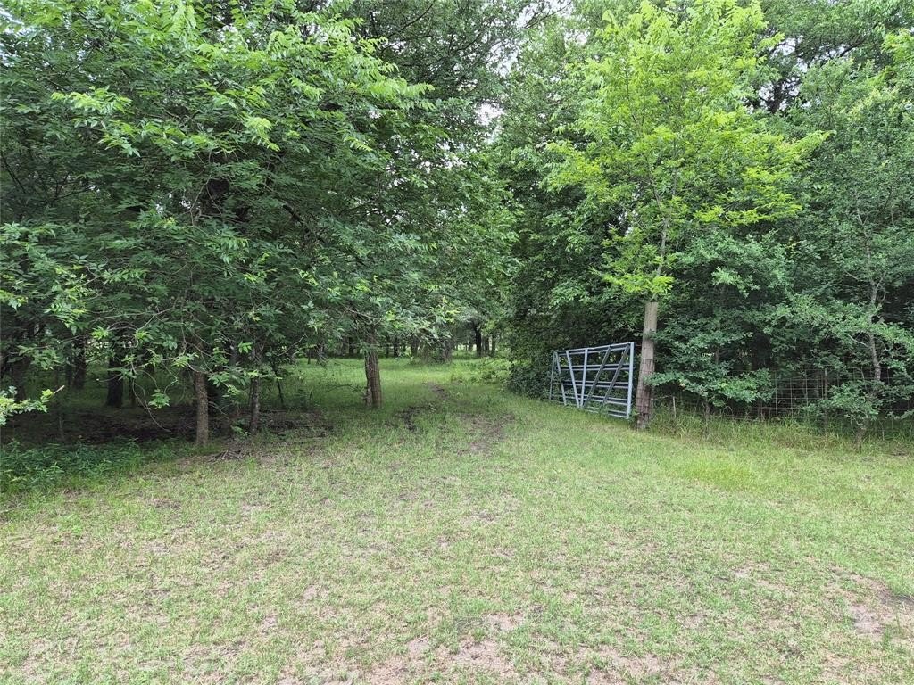 3-Acre Lot with Private Pond