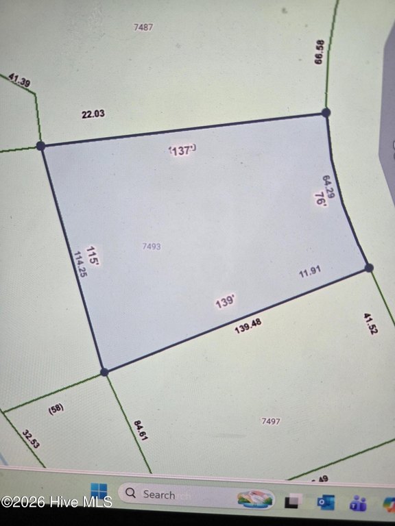 Picture 4